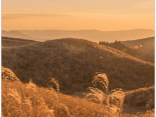 Forensic Darkness – Regions of Oblivion: Ortega Highway a road to&nbsp;demise